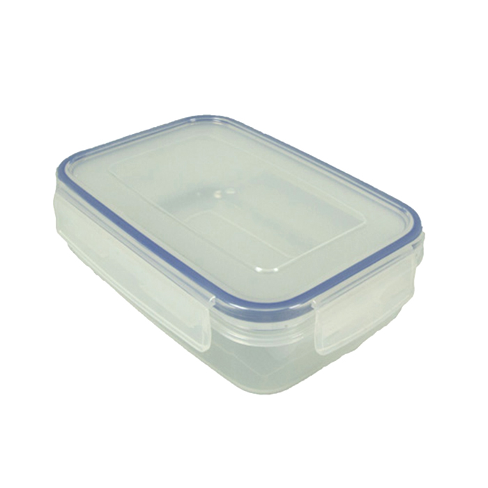 Food storage container MILO, rectangular, separated, small